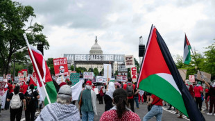 Milhares de pessoas protestam contra Netanyahu no Capitólio, em Washington