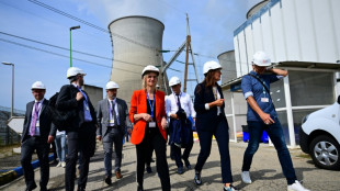 Frankreich und Niederlande vereinbaren Zusammenarbeit beim Ausbau von Atomkraft 