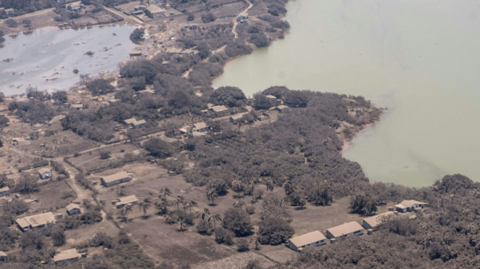 Des images montrent les îles Tonga dévastées après une éruption et un tsunami