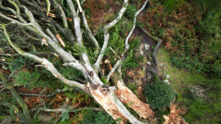 Après les dégâts de Ciaran, la France face à la tempête Domingos