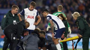 Tottenham empata com Leicester no fechamento da rodada do Inglês