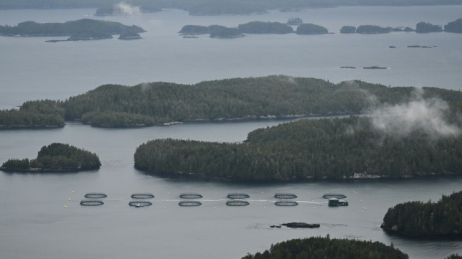 Comment les "Galapagos du Nord" sont devenus la plus grande aire protégée du Canada