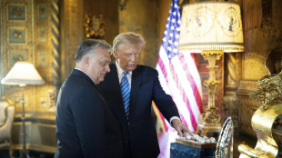 Media, 'Orban vuole andare a Mar-a-lago da Trump'