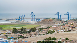 Chinas Megahafen in Südamerika "praktisch fertig" - Präsident Xi in Peru erwartet