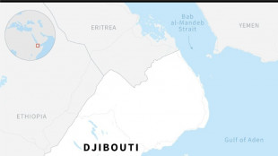 Djibouti says offering port-sharing deal to Ethiopia