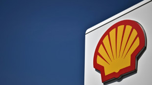 Environmental protesters force suspension of Shell AGM