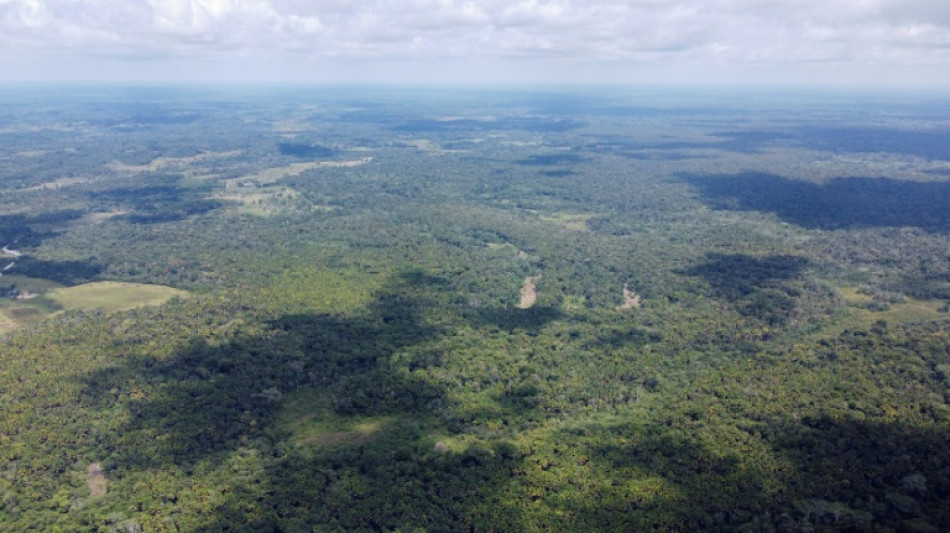 La Colombie pays le plus dangereux pour les défenseurs de l'environnement en 2022