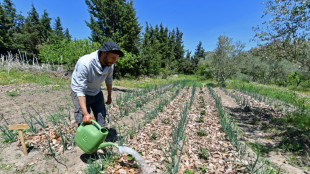 Planet-friendly farming takes root in drought-hit Tunisia