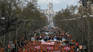 150.000 Menschen in Spanien demonstrieren gegen hohe Rohstoff- und Energiepreise