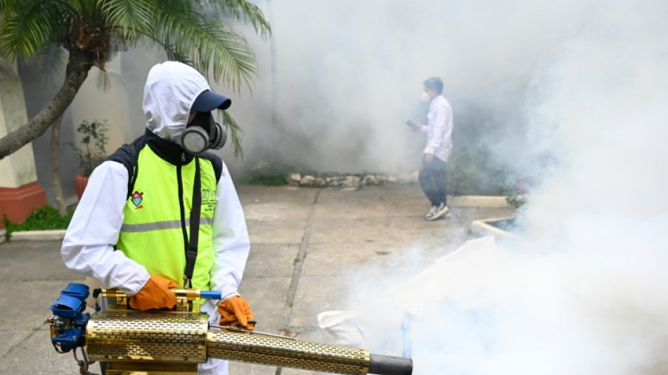 Le Guatemala déclare l'état d'urgence sanitaire en raison d'une épidémie de dengue