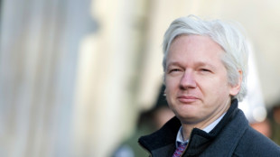 Reporteros Sin Fronteras pide a Reino Unido no extraditar a Assange