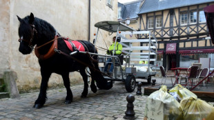 Au Mans, le cheval "Doupette" aux côtés des éboueurs