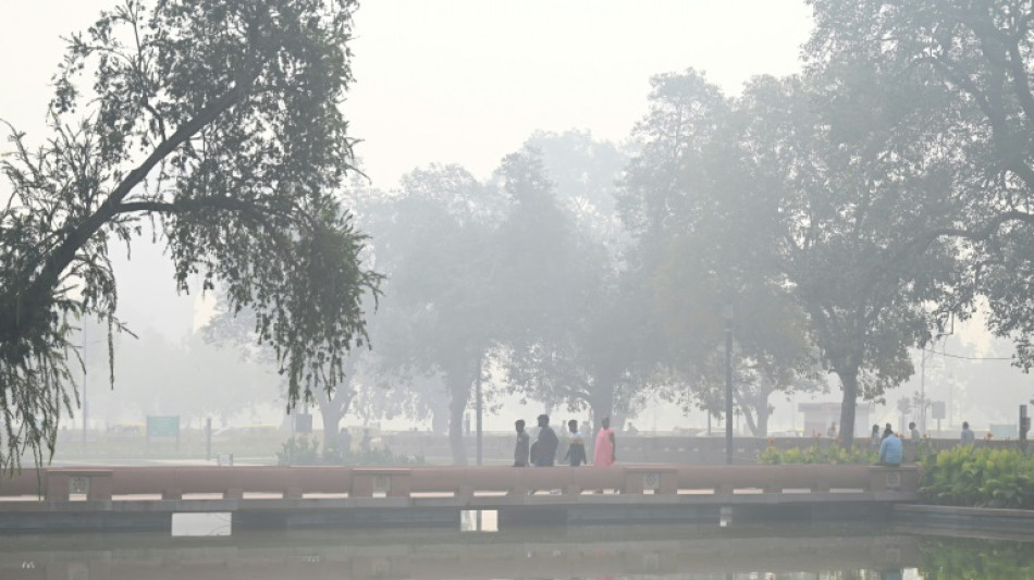 Des niveaux de pollution "dangereux" à Delhi dus aux brûlages agricoles 