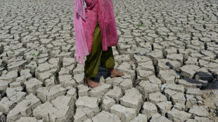 Wetterphänomen El Niño hat laut US-Wetterbehörde begonnen