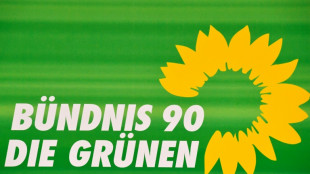 Grüne wollen klimafreundlichen Umbau der Wirtschaft beschleunigen