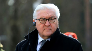 "Spiegel": Steinmeier erwägt Reise nach Kiew