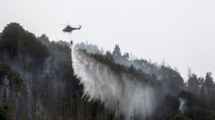 Kampf gegen Waldbrand in Sachsen geht weiter