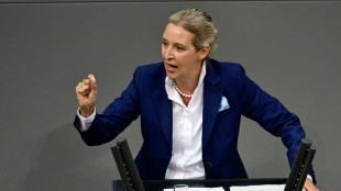 Weidel wirft "Ampel" Komplettversagen vor - Scholz warnt vor Gefahr durch AfD