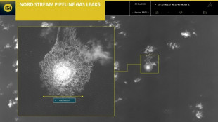 Faeser kündigt internationale Ermittlung zu Pipeline-Explosionen an