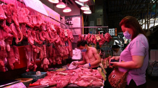 Chinas Regierung erwägt Freigabe von Schweinefleischreserven