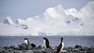 Aires marines protégées: nouvel échec de la commission internationale sur l'Antarctique