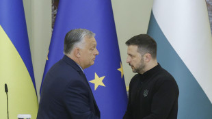 Zelensky al summit di Budapest, stretta di mano con Orban