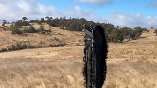 Australischer Schafzüchter findet SpaceX-Weltraumschrott auf Weide