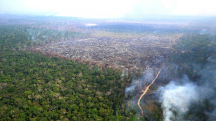 Brazil urges EU to suspend 'punitive' anti-deforestation law 