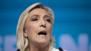 Le Pen attacca il fronte contro di lei, 'è grottesco'