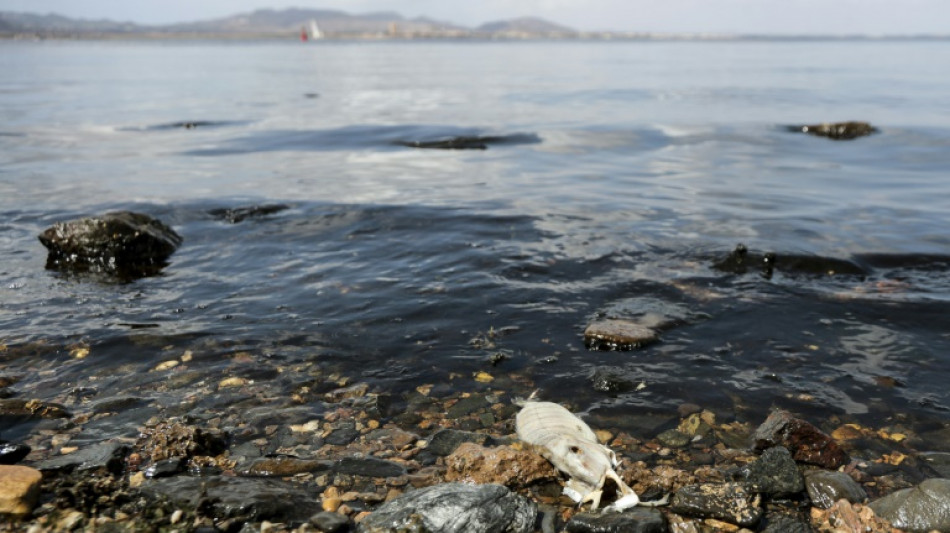 Los contaminantes de larga persistencia omnipresentes en el agua, según un informe europeo