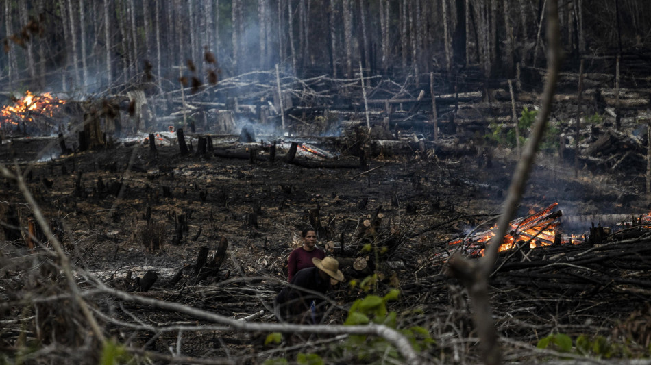 La deforestazione in Amazzonia scende del 38% nel primo semestre