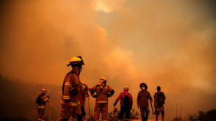 Mindestens 46 Tote bei Waldbränden in Chile