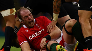 Wales call up Alun Wyn Jones for Italy finale