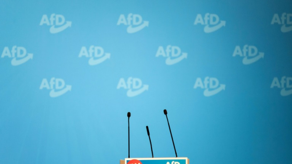 Bas rät zu Abstimmung über AfD-Verbotsverfahren erst Ende des Jahres