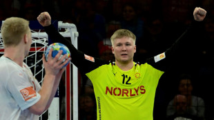 Handball-EM: Dänemark und Schweden im Halbfinale