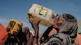 20 million risk starvation as Horn of Africa drought worsens: UN