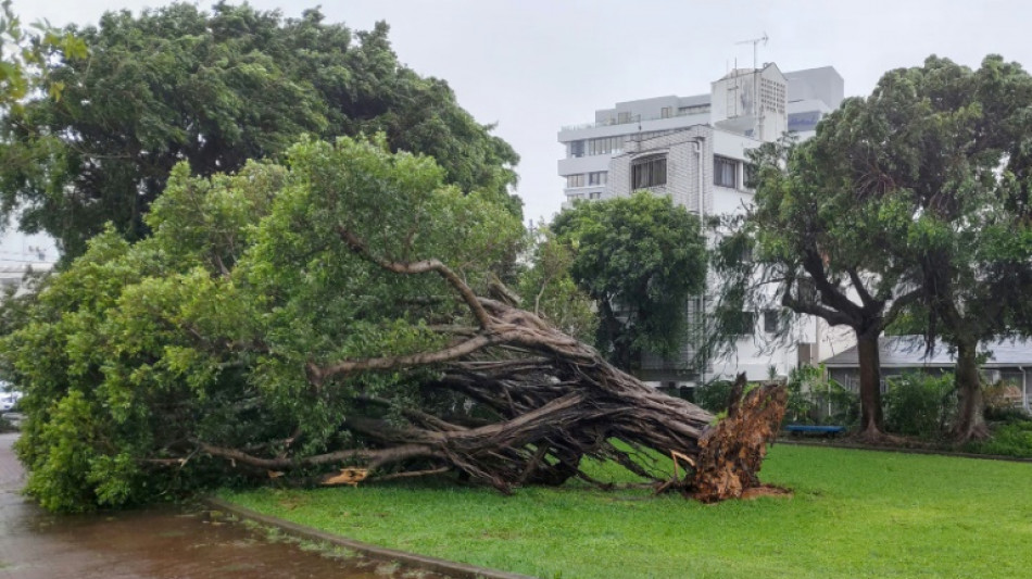 Typhoon knocks out power in southern Japan