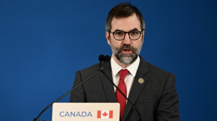 Canada unveils 2035 climate goal critics say is weak