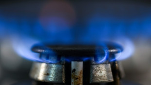 Energiewirtschaft fordert Ausrufung der Frühwarnstufe des Notfallplans Gas