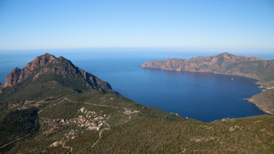 Mesures pour protéger le balbuzard pêcheur sur la côte occidentale de la Corse