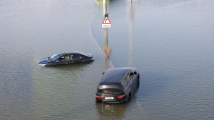 Alluvione a Dubai, gli allagamenti visti dai satelliti