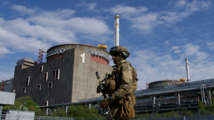 Ukrainischer Atomkonzern Energoatom meldet "beispiellosen" russischen Cyberangriff