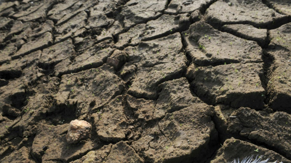 Climat: le monde étudie les solutions pour éviter d'aller "les yeux fermés vers la catastrophe"