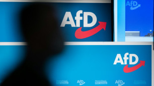 Bremer Verfassungsschutz stuft AfD insgesamt als Verdachtsobjekt ein