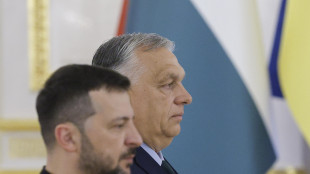 Kiev, visita di Orban a Mosca non concordata con noi