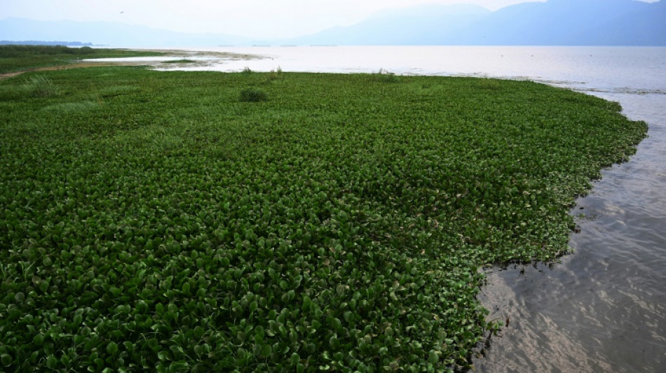 Honduras lanza un plan de rescate de su único lago de agua dulce