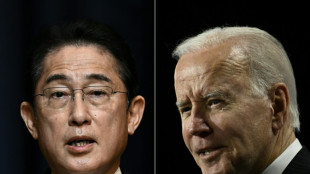 Biden to receive Japan's PM Kishida on Jan. 13: White House