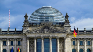 AfD stellt im Bundestag an einem Tag fast 100 Anträge 