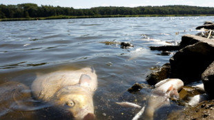 Dead fish and depression on the banks of the Oder