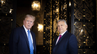 Orban sente Trump, 'grandi progetti per il futuro'